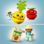 LEGO DUPLO My First 10982 Le Tracteur des Fruits et Légumes. Jouet a Emp 36,99 €