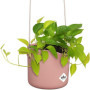 Pot De Fleurs Rond B.FOR - Plastique - Ø18 - Rose Poudré 32,99 €