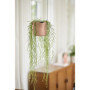 Pot De Fleurs Rond B.FOR - Plastique - Ø18 - Rose Poudré 32,99 €