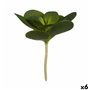 Plante décorative Volets Ronde Plastique 18 x 23 x 18 cm (6 Unités) 59,99 €