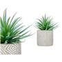 Plante décorative Succulent Bois Plastique 17 x 21 x 17 cm (8 Unités) 106,99 €