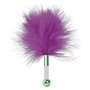 Chatouilleur à plumes S Pleasures Tickler Rose 17,99 €