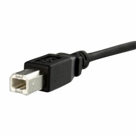 Câble USB Startech USBPNLBFBM1     USB B Noir 19,99 €