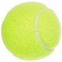 Balles de Tennis Dunlop 601316 Jaune 170,99 €