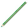 Crayons de couleur Staedtler Jumbo Noris Vert (12 Unités) 27,99 €