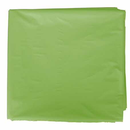 Sac Fixo Plastique Déguisement 65 x 90 cm Vert clair (25 Unités) 45,99 €