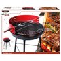 Barbecue Portable Aktive Rouge 37,5 x 70 x 38,5 cm Bois Fer 229,99 €