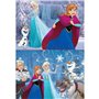Set de 2 Puzzles   Frozen Believe         48 Pièces 28 x 20 cm  