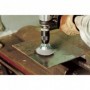 Wolfcraft 1 Brosse métallique souc. HEX Ø50mm