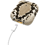 Airpods Fashion Case Sahara Snake Ideal Of Sweden