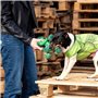 Jouet pour chien The Avengers   Vert 100 % polyester