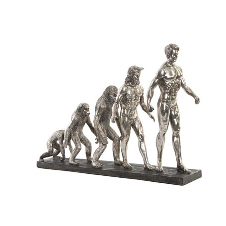 Figurine Décorative DKD Home Decor Origin of Species Argenté Chrome 55