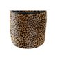 Support de porte DKD Home Decor Léopard 19 x 19 x 19 cm