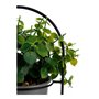 Plante décorative Gris Avec support Métal Plastique (14 x 30 x 14 cm)