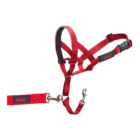 Collier d'entraînement pour chiens Company of Animals Halti Muselière