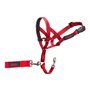 Collier d'entraînement pour chiens Company of Animals Halti Muselière