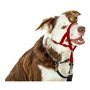 Collier d'entraînement pour chiens Company of Animals Halti Muselière