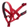 Collier d'entraînement pour chiens Company of Animals Halti Muselière
