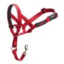Collier d'entraînement pour chiens Company of Animals Halti Muselière