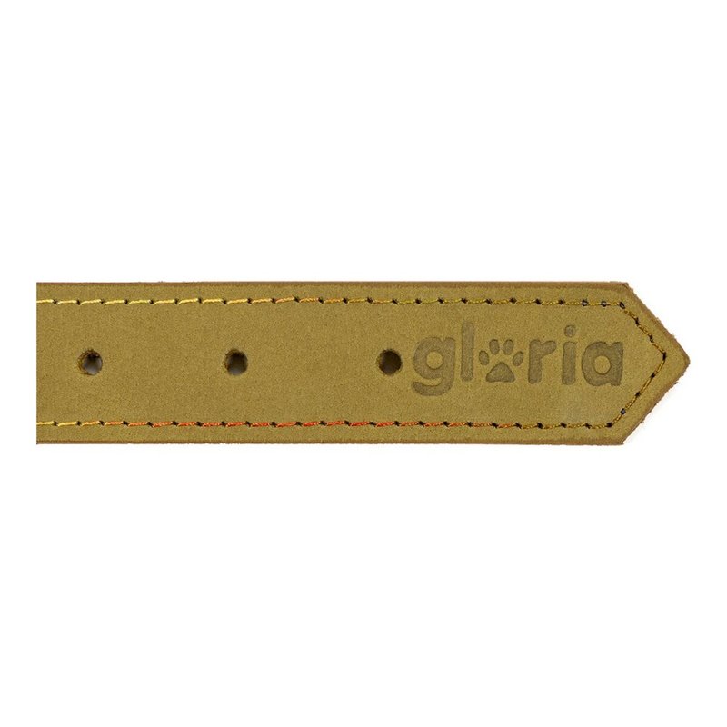 Image secondaire de Collier pour Chien Gloria Oasis Vert (50 x 2,1 cm)