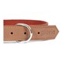 Collier pour Chien Gloria Oasis Marron (40 x 1,5 cm)