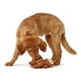Jouet pour chien Hunter Togh Toys Marron 25 cm Singe