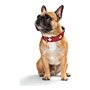 Collier pour Chien Hunter Swiss Rouge/Noir 30-34.5 cm