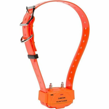 Collier d'entraînement pour chiens Num'Axes Orange