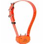 Collier d'entraînement pour chiens Num'Axes Orange