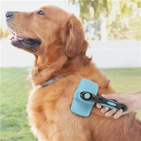 Brosse pour Animaux de Compagnie avec Dents Rétractables Groombot Inno