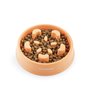 Gamelle à Alimentation Lente pour Animaux de Compagnie Slowfi InnovaGo