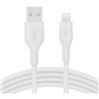 Câble USB vers Lightning Belkin CAA008BT2MWH 2 m Blanc