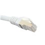 Câble Réseau Rigide FTP 7ème Catégorie iggual IGG318621 Blanc 10 m
