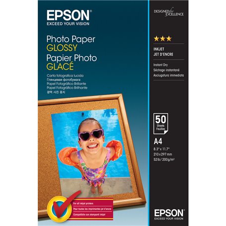 Lot d'encre et papier photo Epson C13S042539