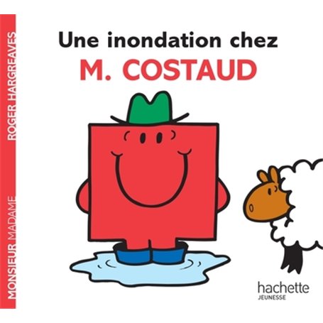 Une inondation chez M. Costaud