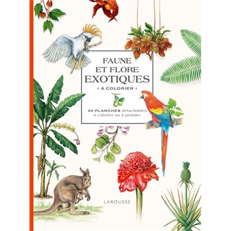 Faune et flore exotiques à colorier