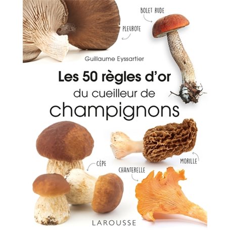 Les 50 règles d'or du cueilleur de champignons