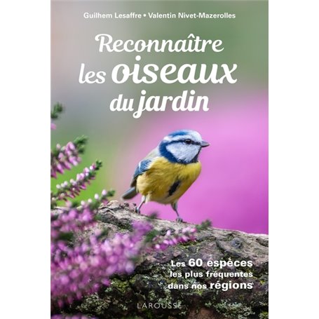 Reconnaitre les Oiseaux du jardin