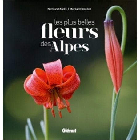 Les plus belles fleurs des Alpes