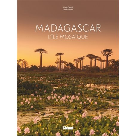 Madagascar