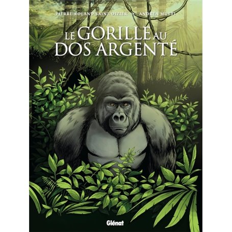 Le Gorille au dos argenté