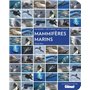 Mammifères marins