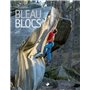 Bleau Blocs
