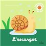 L'escargot