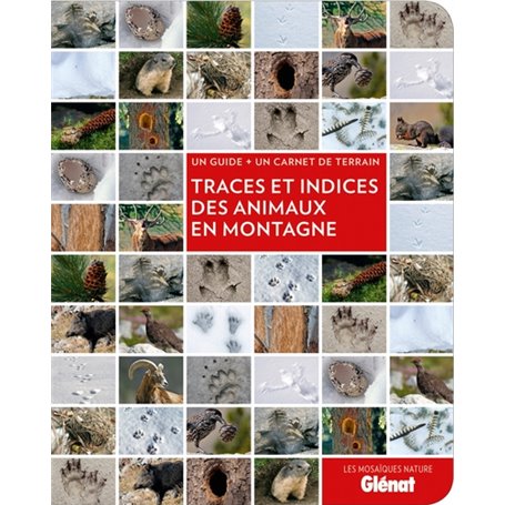 Traces et indices des animaux en montagne