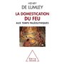 La domestication du feu aux temps paléolithiques