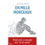 En mille morceaux