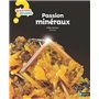 Passion minéraux