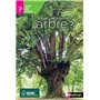 Quel est donc cet arbre ?