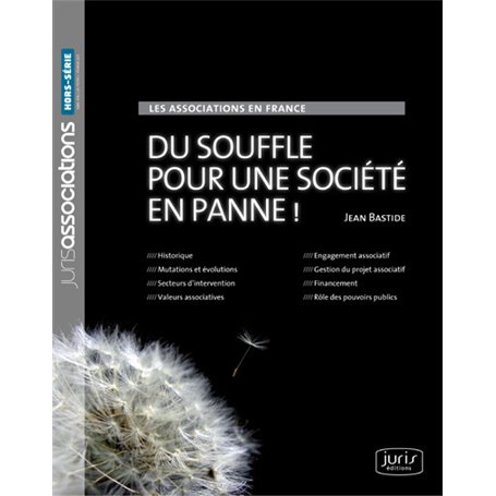 Les associations en France. Du souffle pour une société en panne